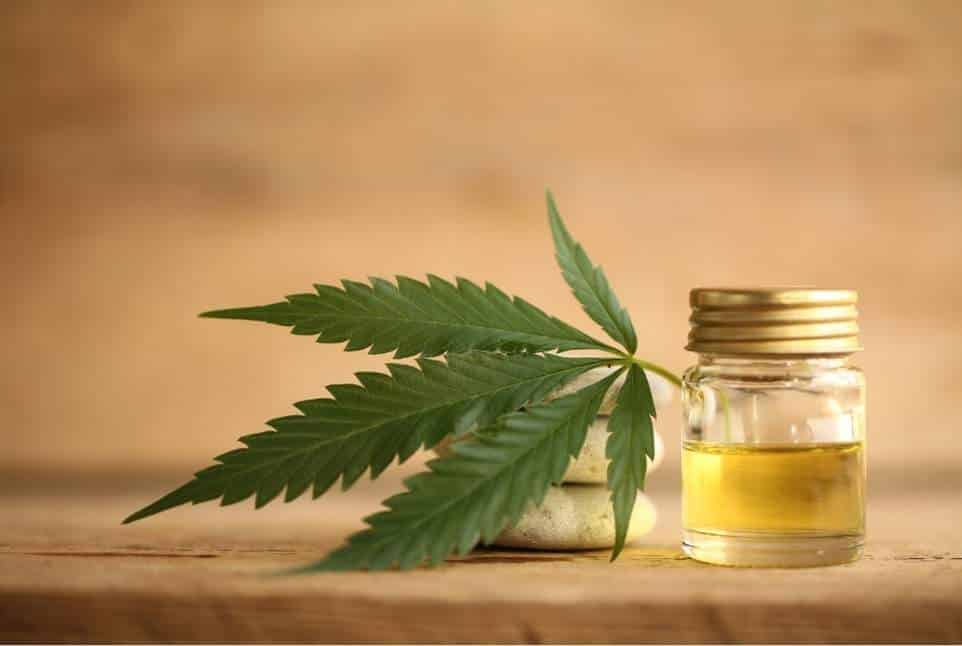 CBD από την κάνναβη: Σκοτώνει τα κουνούπια, προκαλώντας 100% ποσοστό θνησιμότητας